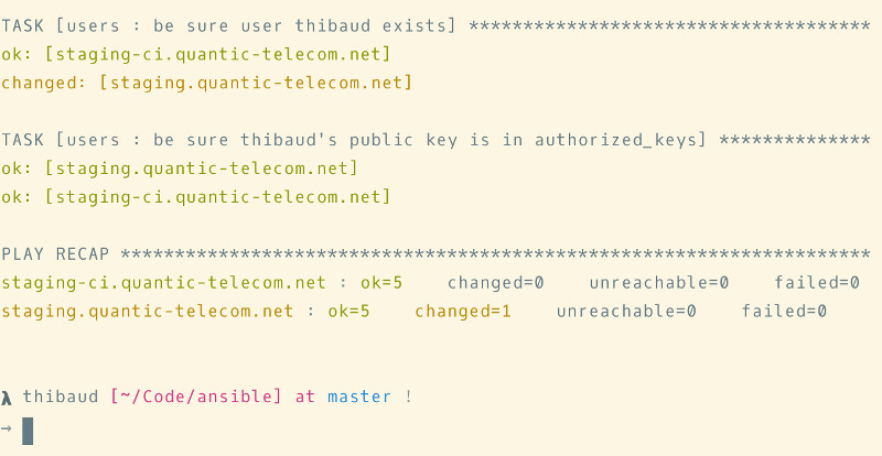 thibaud is using bash for the staging server, one "ok", one "changed"